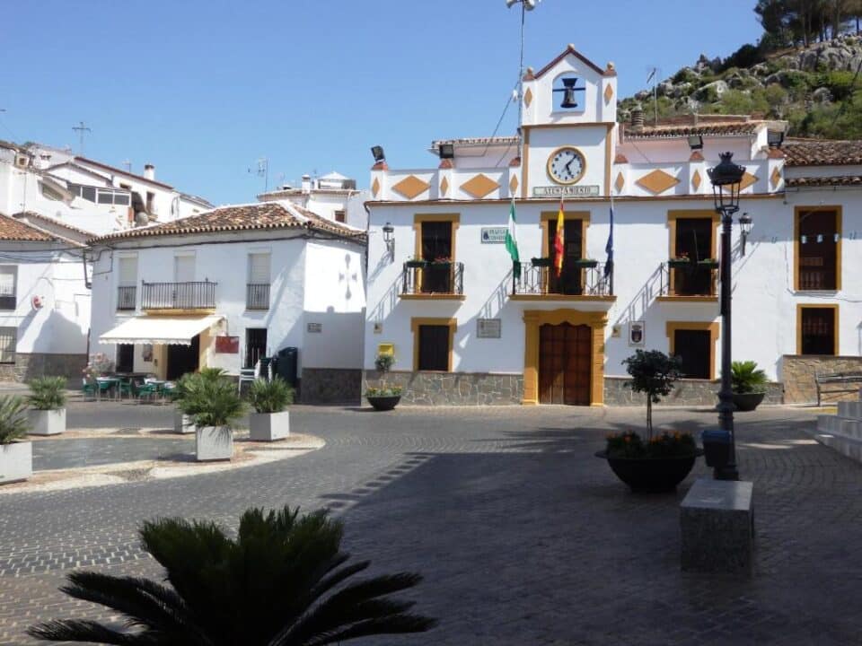 Acogedor Hostal Rural junto al Parque Natural de la Sierra de Grazalema - Imagen 47