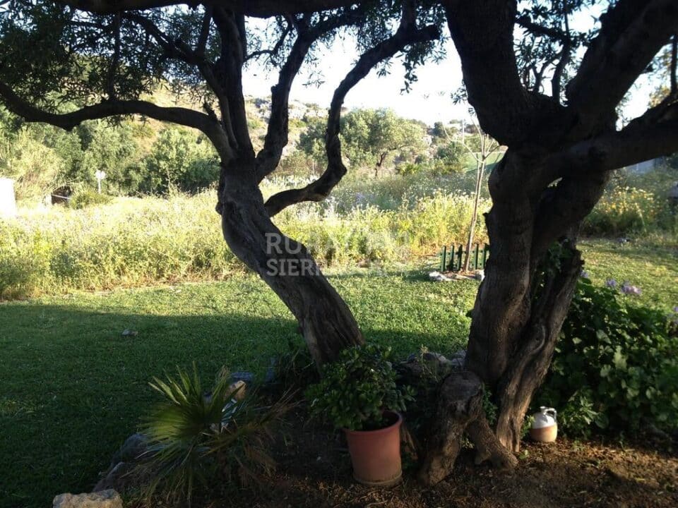 Acogedora Casa Rural a 10 minutos de las playas de Torremolinos - Imagen 9