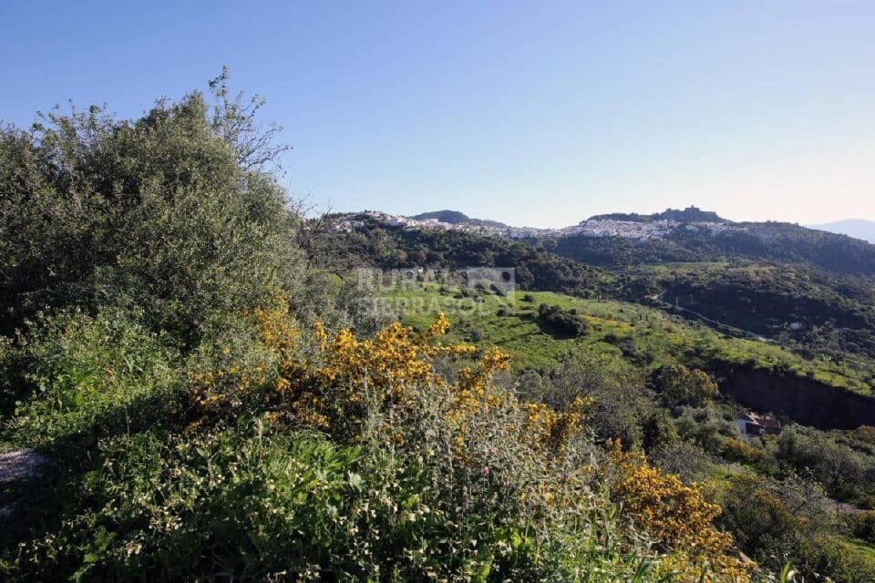 Ancestral Casa Rural en plena Serranía de Ronda, con inmejorables vistas - Imagen 35