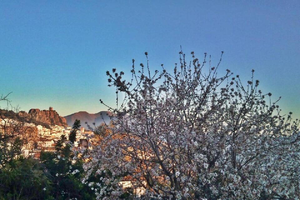Ancestral Casa Rural en plena Serranía de Ronda, con inmejorables vistas - Imagen 36