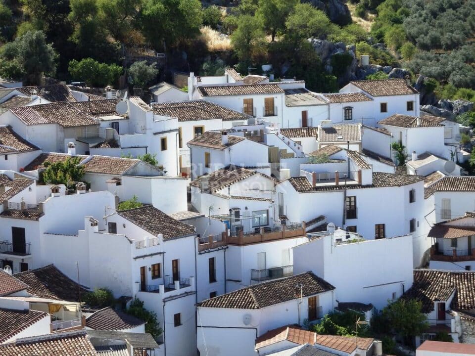Acogedor Hostal Rural junto al Parque Natural de la Sierra de Grazalema - Imagen 22