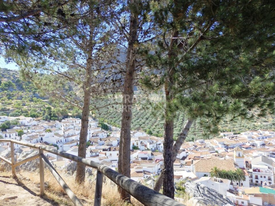 Acogedor Hostal Rural junto al Parque Natural de la Sierra de Grazalema - Imagen 23