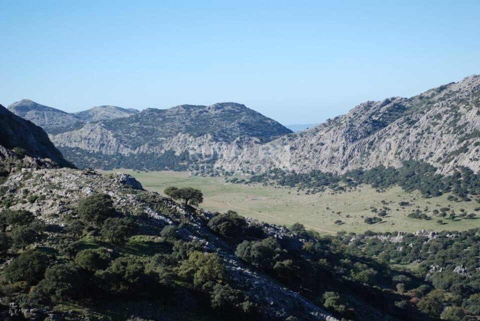 Acogedor Hostal Rural junto al Parque Natural de la Sierra de Grazalema - Imagen 24