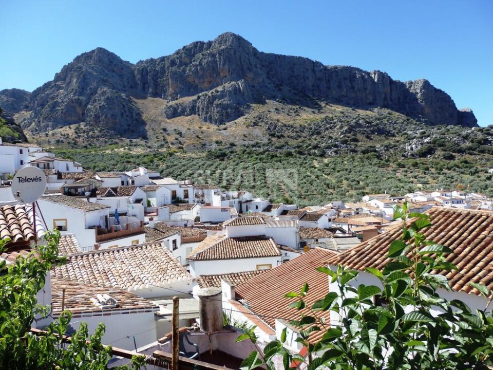 Acogedor Hostal Rural junto al Parque Natural de la Sierra de Grazalema - Imagen 27