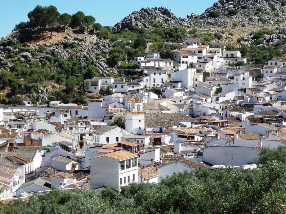 Acogedor Hostal Rural junto al Parque Natural de la Sierra de Grazalema - Imagen 28