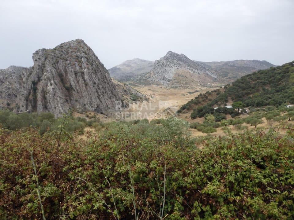 Acogedor Hostal Rural junto al Parque Natural de la Sierra de Grazalema - Imagen 29