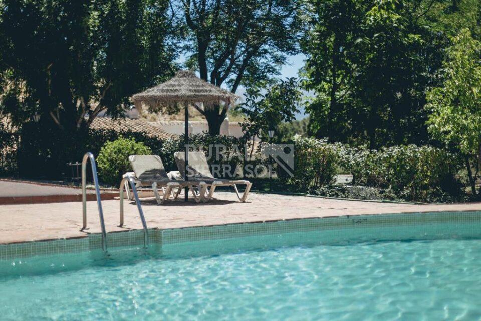 Coqueta Casa Cueva en Alcudia de Guadix, con piscina, barbacoa y wi-fi - Imagen 14