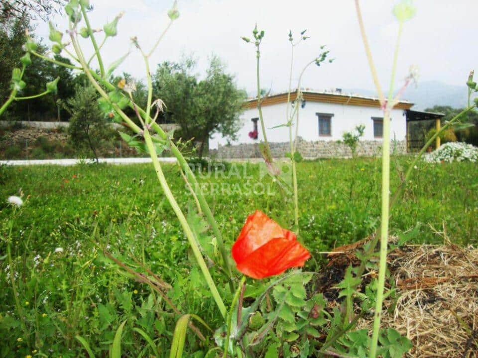 Vista de casa rural en Órgiva (Granada) referencia 1415