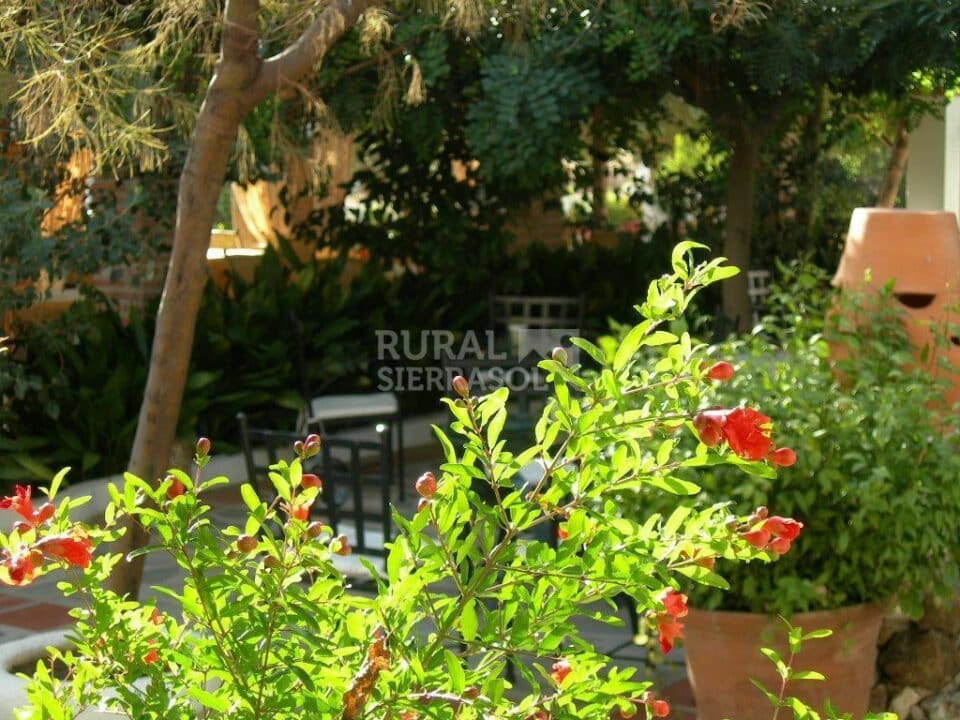 Hotel Rural lleno de encanto en Lanjarón - Imagen 74