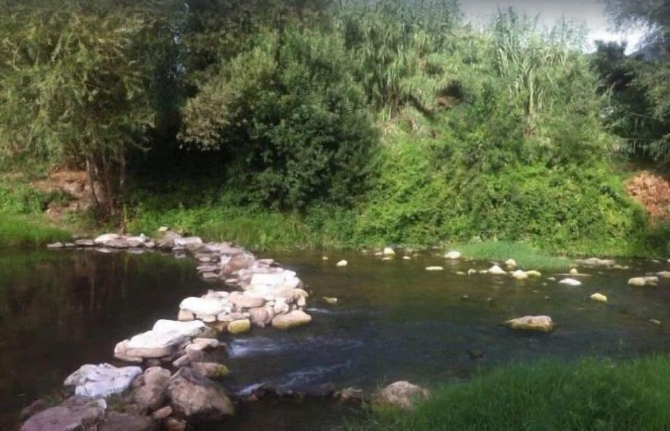 Casa Rural en Cortes de la Frontera con spa-hidromasaje, chimenea y barbacoa - Imagen 15