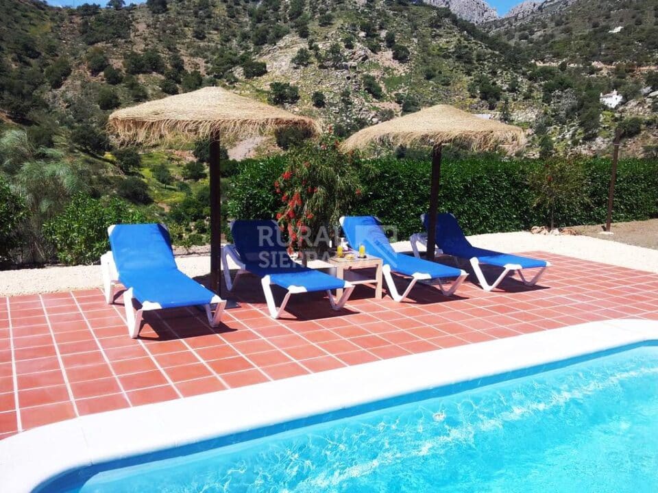 Piscina con hamacas y entorno de Casa rural en El Chorro - Álora (Málaga)-1764