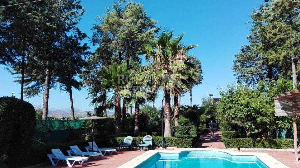 Casa Rural en Antequera con piscina, barbacoa, chimenea - Imagen 59
