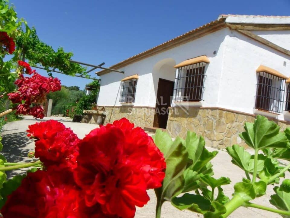 Esplendida Casa Rural al sur del Torcal de Antequera, con piscina rodeada de césped y barbacoa - Imagen 19