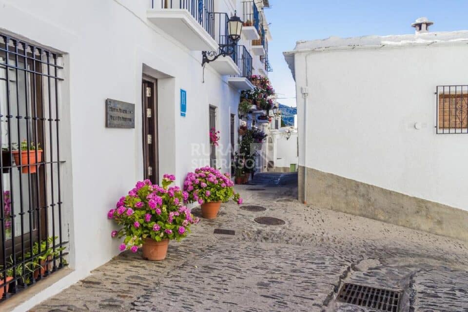 Encantador Hotel Rural en Capileira, rodeado de jardines - Imagen 43