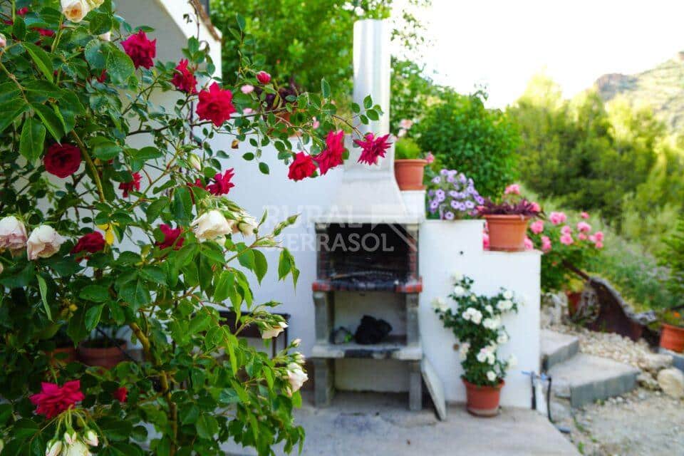Barbacoa de Casa rural en Castril (Granada)-0772