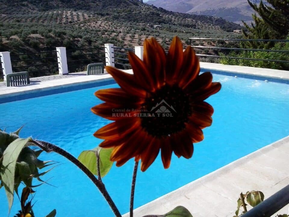 Preciosa Casa Rural en Loja, con piscina y aire acondicionado - Imagen 2