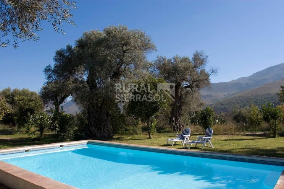 Acogedora Casa Rural en Órgiva, con gran zona de césped, barbacoa y piscina - Imagen 2