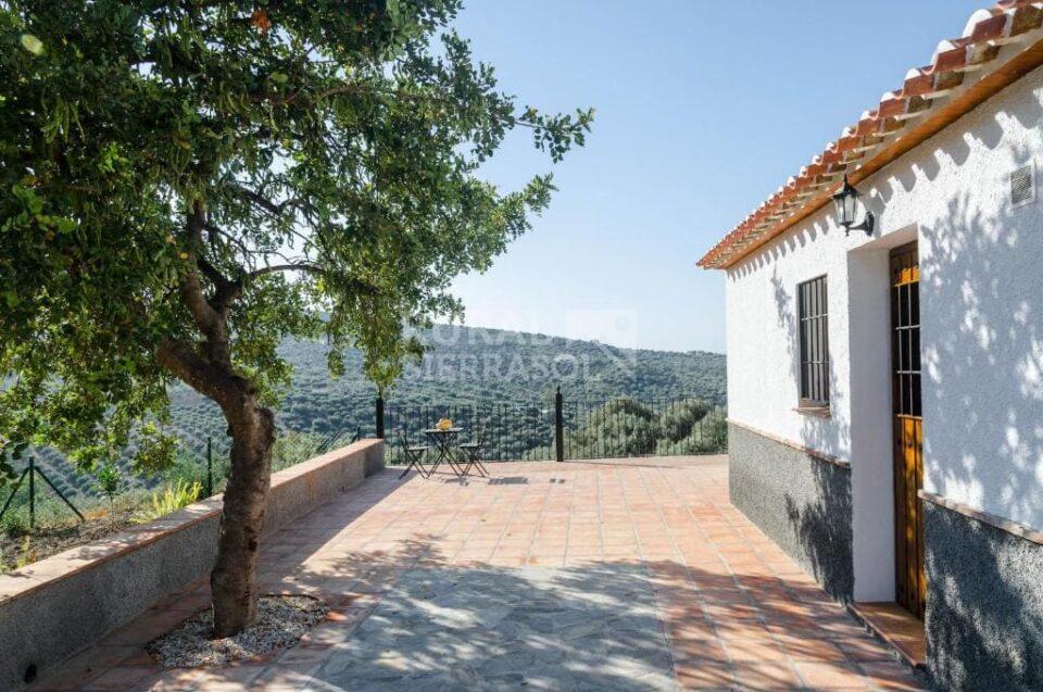 Terraza de Casa rural en Periana (Málaga)-3307
