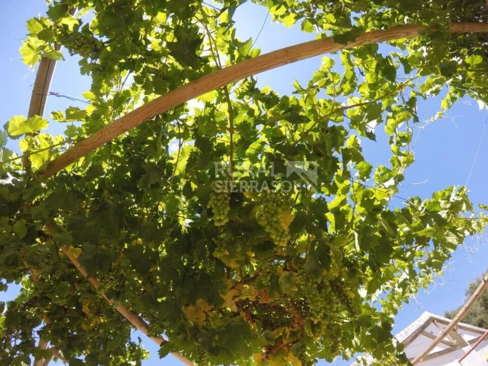 Esplendida Casa Rural al sur del Torcal de Antequera, con piscina rodeada de césped y barbacoa - Imagen 20