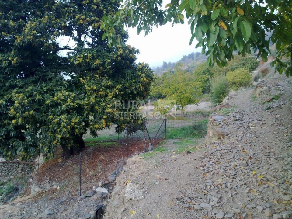 Casa rural en Bubión, con unas maravillosas vistas - Imagen 36