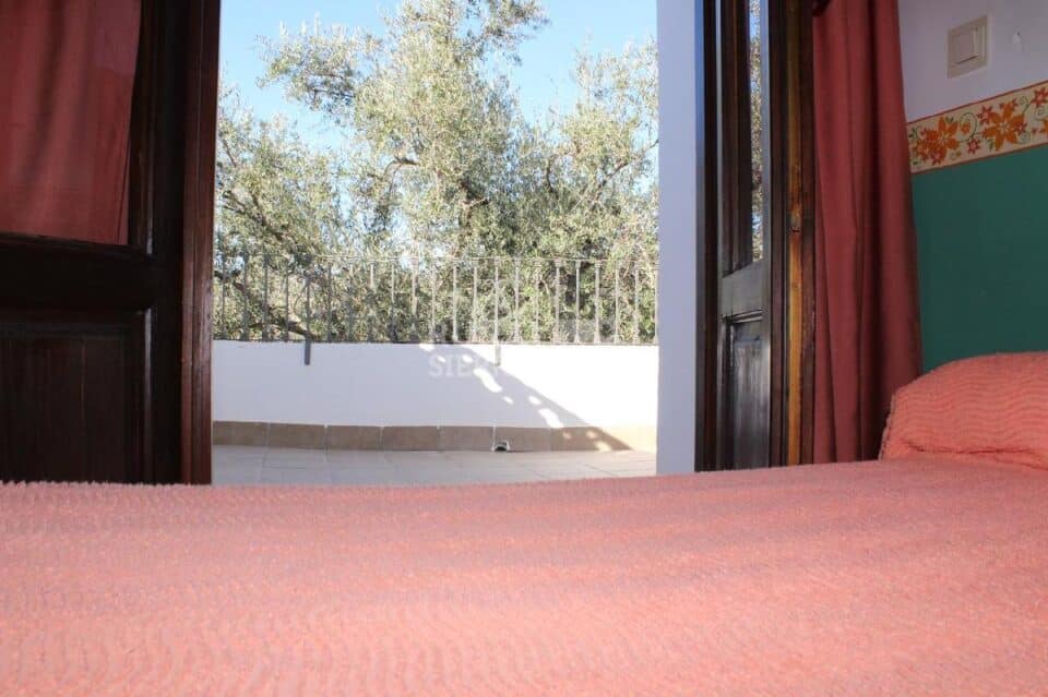 Acogedor Hostal Rural en Valle de Lecrín, en un maravilloso entorno natural - Imagen 29