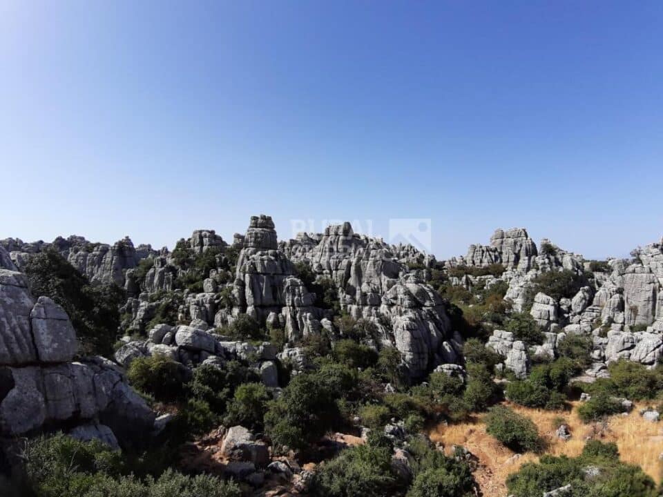 Esplendida Casa Rural al sur del Torcal de Antequera, con piscina rodeada de césped y barbacoa - Imagen 22