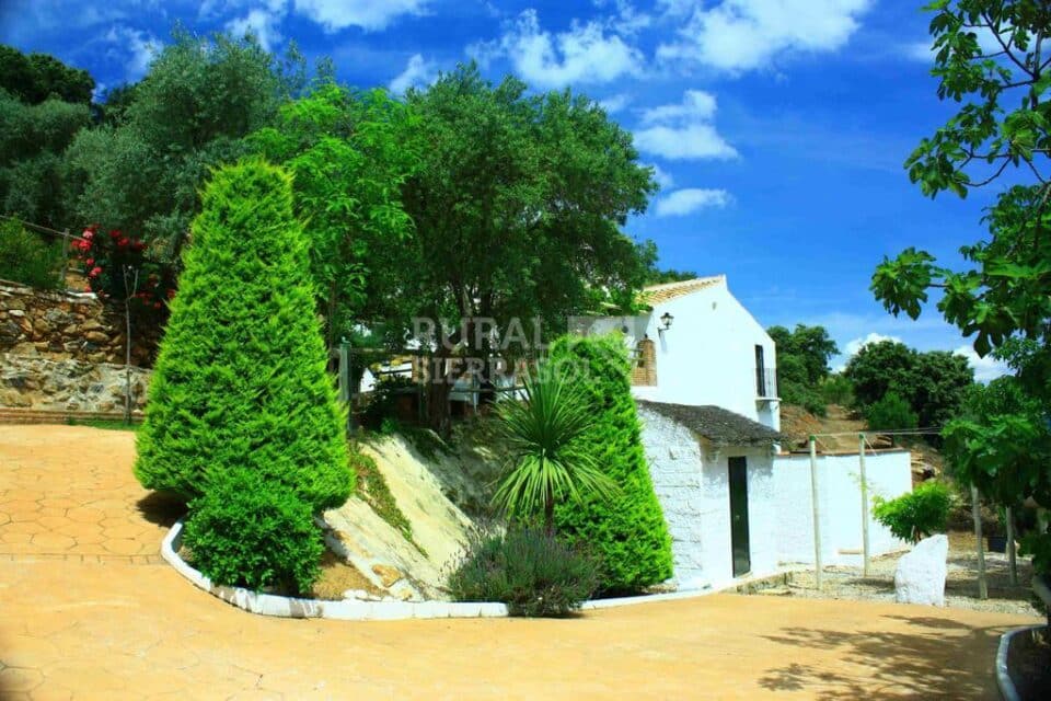 Maravillosa Casa Rural en Casabermeja, con piscina barbacoa y wifi - Imagen 22