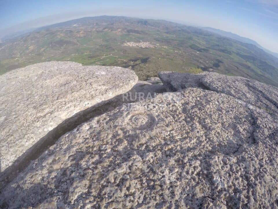 Esplendida Casa Rural al sur del Torcal de Antequera, con piscina rodeada de césped y barbacoa - Imagen 23