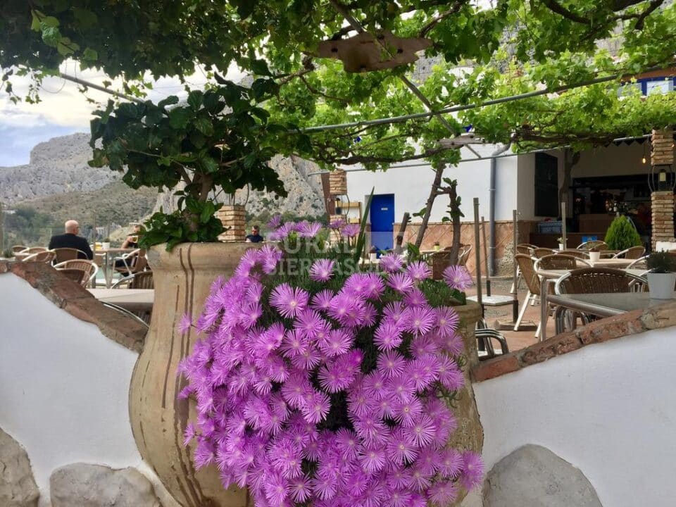 Acogedor Apartamento Rural junto al Caminito del Rey, con piscina, aire acondicionado y wifi - Imagen 24