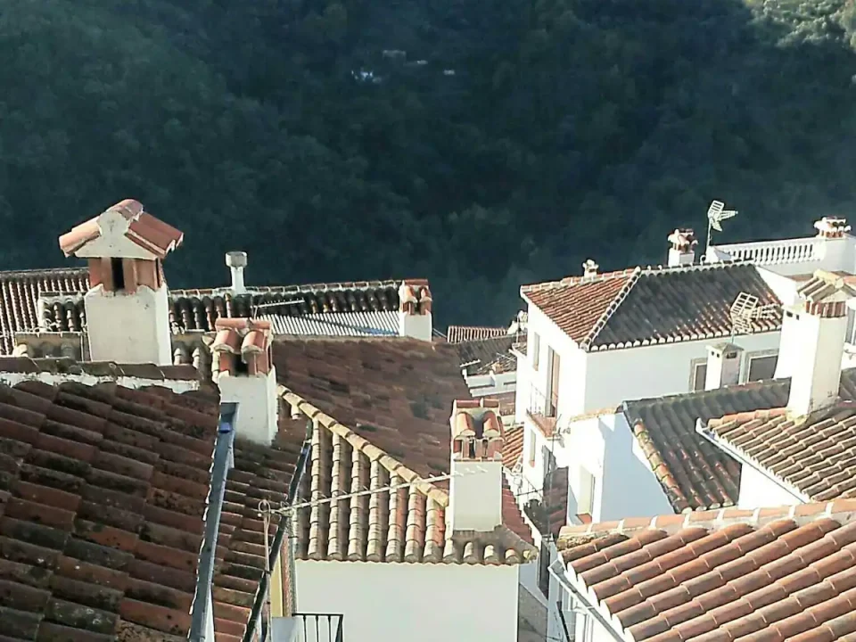 Casa Rural en Jubrique con chimenea, barbacoa y piscina - Imagen 47