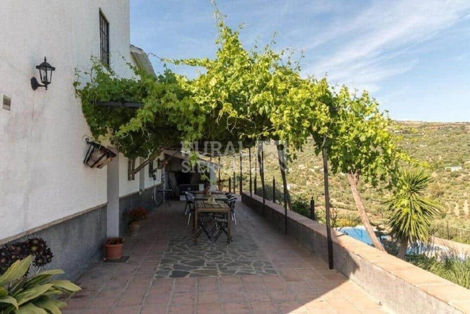 Porche emparrado de Casa rural en Periana (Málaga)-3307