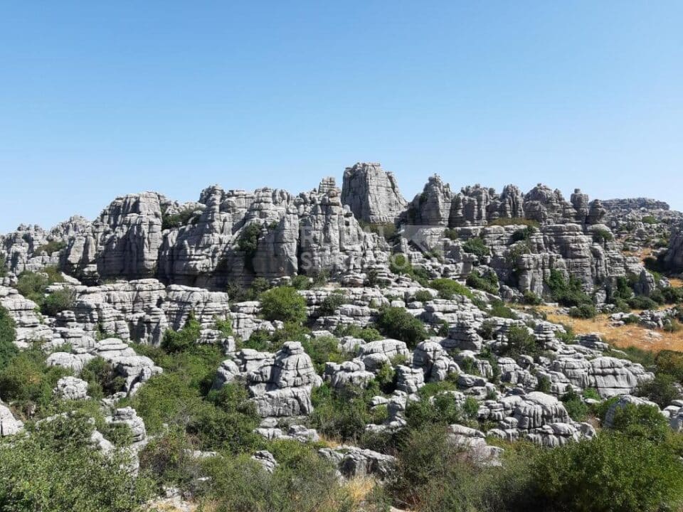 Esplendida Casa Rural al sur del Torcal de Antequera, con piscina rodeada de césped y barbacoa - Imagen 24