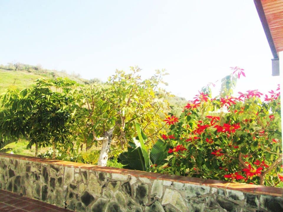 Casa Rural en Benagalbón, a cinco minutos de la playa - Imagen 49