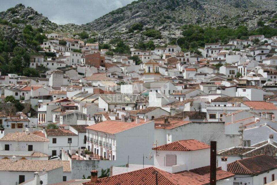 Coqueto Apartamento Rural junto al Parque Natural de la Sierra de Grazalema - Imagen 39
