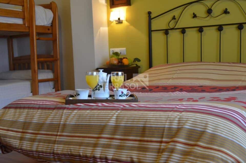Hostal Rural en Padul, en pleno Valle de Lecrín - Imagen 27