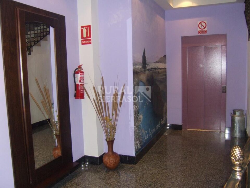 Hostal Rural en Padul, en pleno Valle de Lecrín - Imagen 34