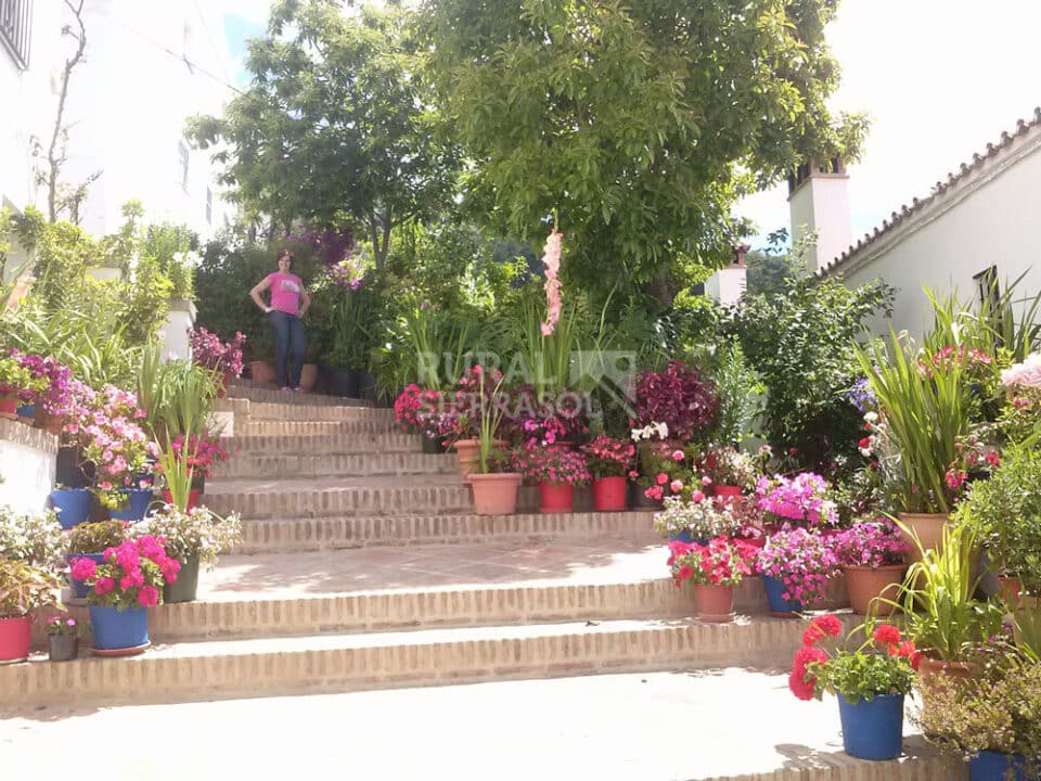 Apartamento Rural en Genalguacil, con estufa de leña - Imagen 26