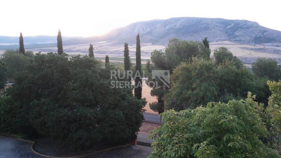 Casa Rural de alquiler por habitaciones en Huéscar - Imagen 34