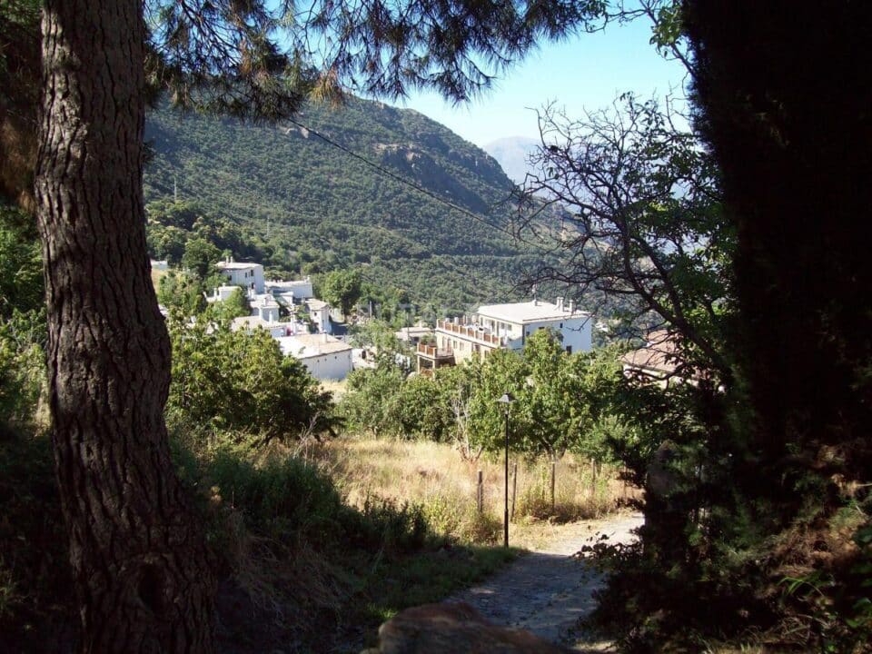 Espléndido Conjunto Rural en Bubión, con preciosas vistas al Barranco de Poqueira - Imagen 30