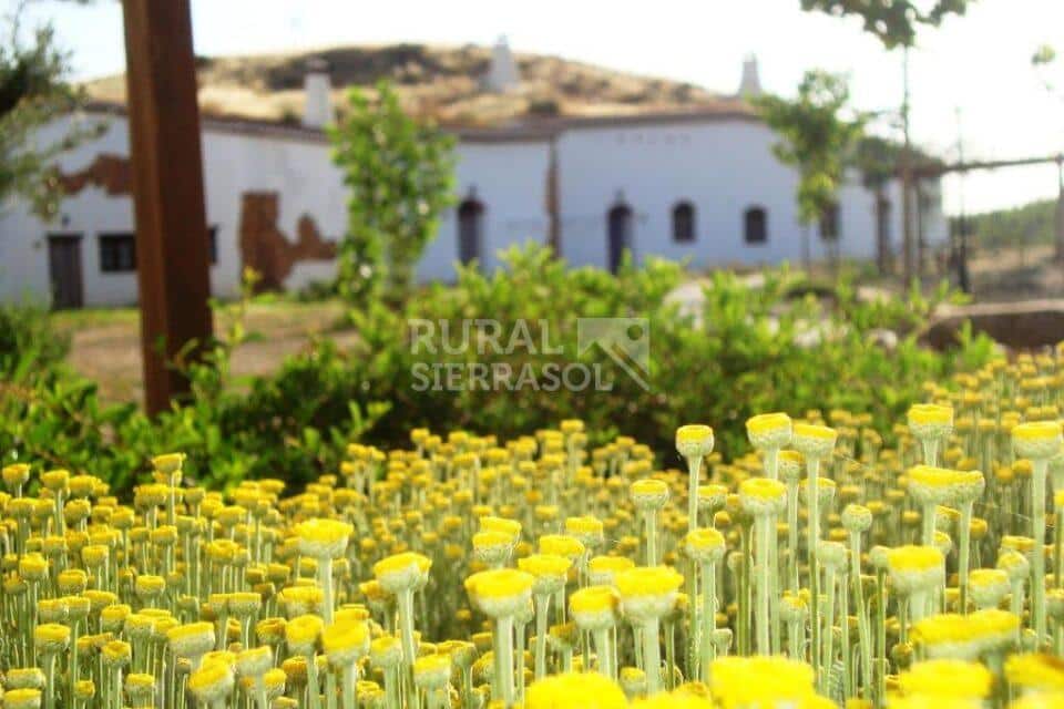 Acogedora Cueva en Guadix, con baños árabes - Imagen 23