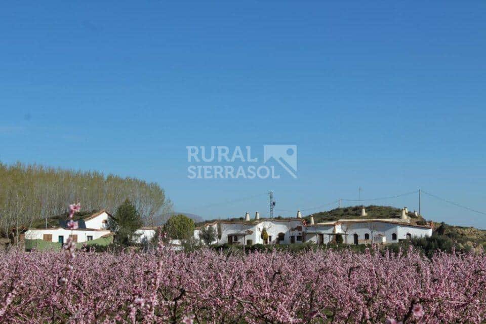Acogedora Cueva en Guadix, con baños árabes - Imagen 24