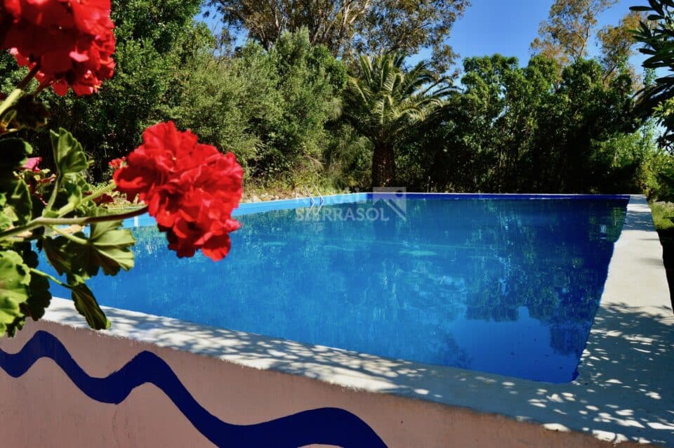 Piscina rodeada de árboles en Casa rural en Alfarnatejo (Málaga)-1100