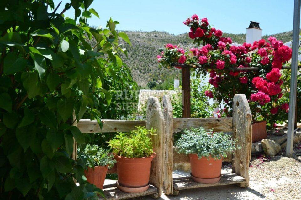 Acogedor Alojamiento Rural en Castril de la Peña, con barbacoa, wifi y chimenea - Imagen 4