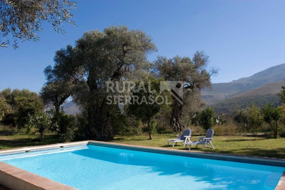 Encantadora Casa Rural con piscina, barbacoa y amplia zona de césped, en Órgiva - Imagen 3
