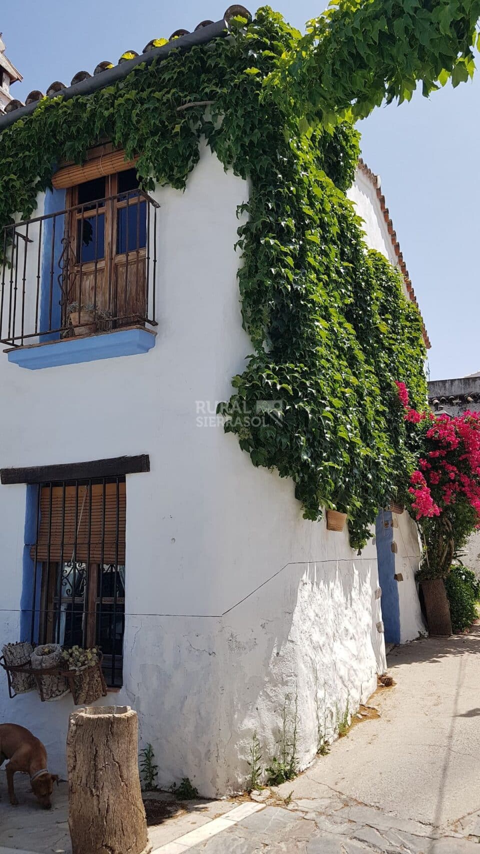 Preciosa Casa Rural en Benarrabá, con chimenea, ducha hidromasaje - Imagen 31