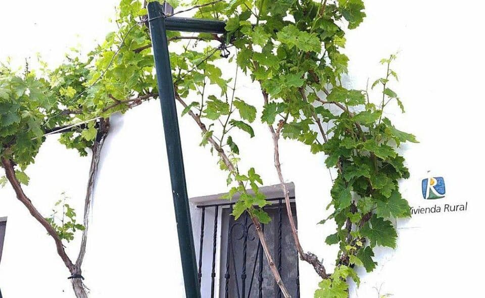 Original y auténtica Casa Rural en Cañete La Real con chimenea y piscina - Imagen 32