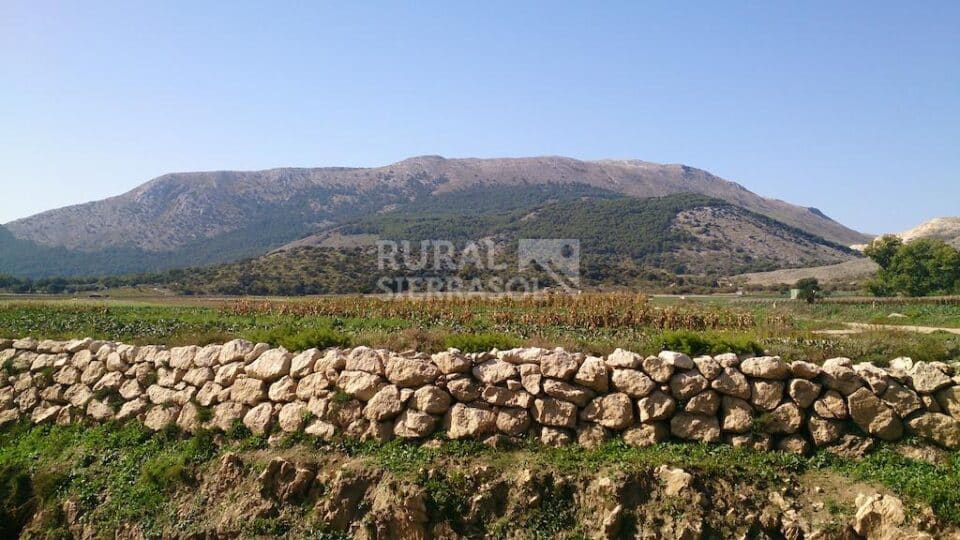 Acogedora Casa Rural en Zafarraya, especial para parejas - Imagen 37