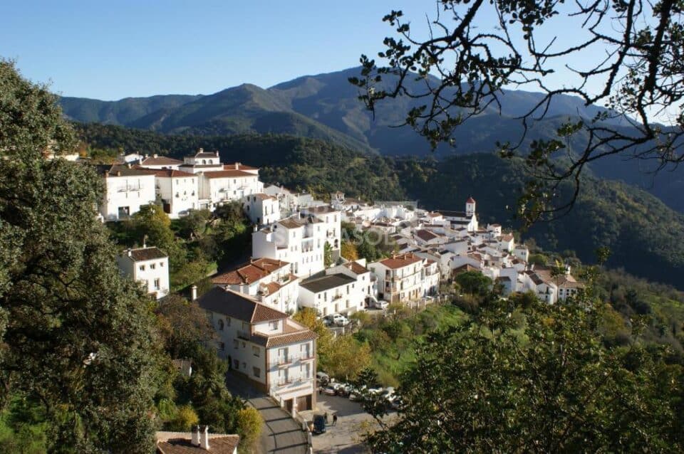 Apartamento Rural en Genalguacil, con estufa de leña - Imagen 33