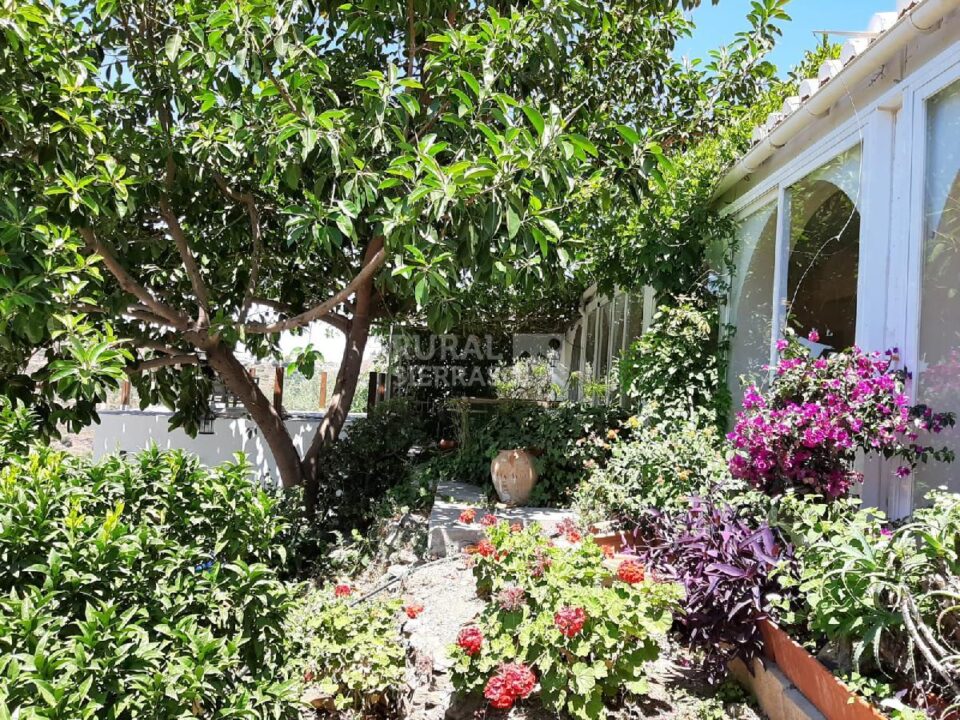 Preciosa Casa Rural en Cómpeta con chimenea, piscina y barbacoa - Imagen 40
