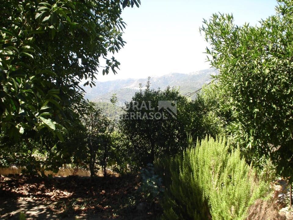 Casa Rural en Jubrique con chimenea, barbacoa y piscina - Imagen 17